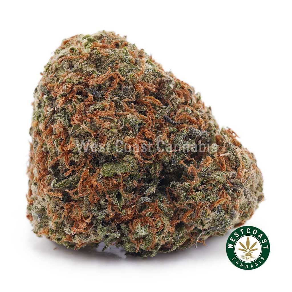 Buy Cannabis online in Canada from West Coast Cannabis