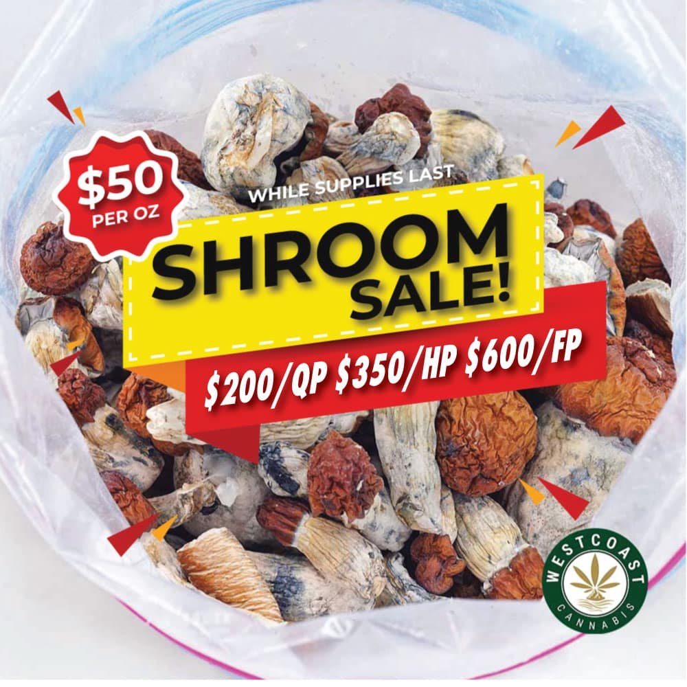 Buy magic mushrooms online in Canada