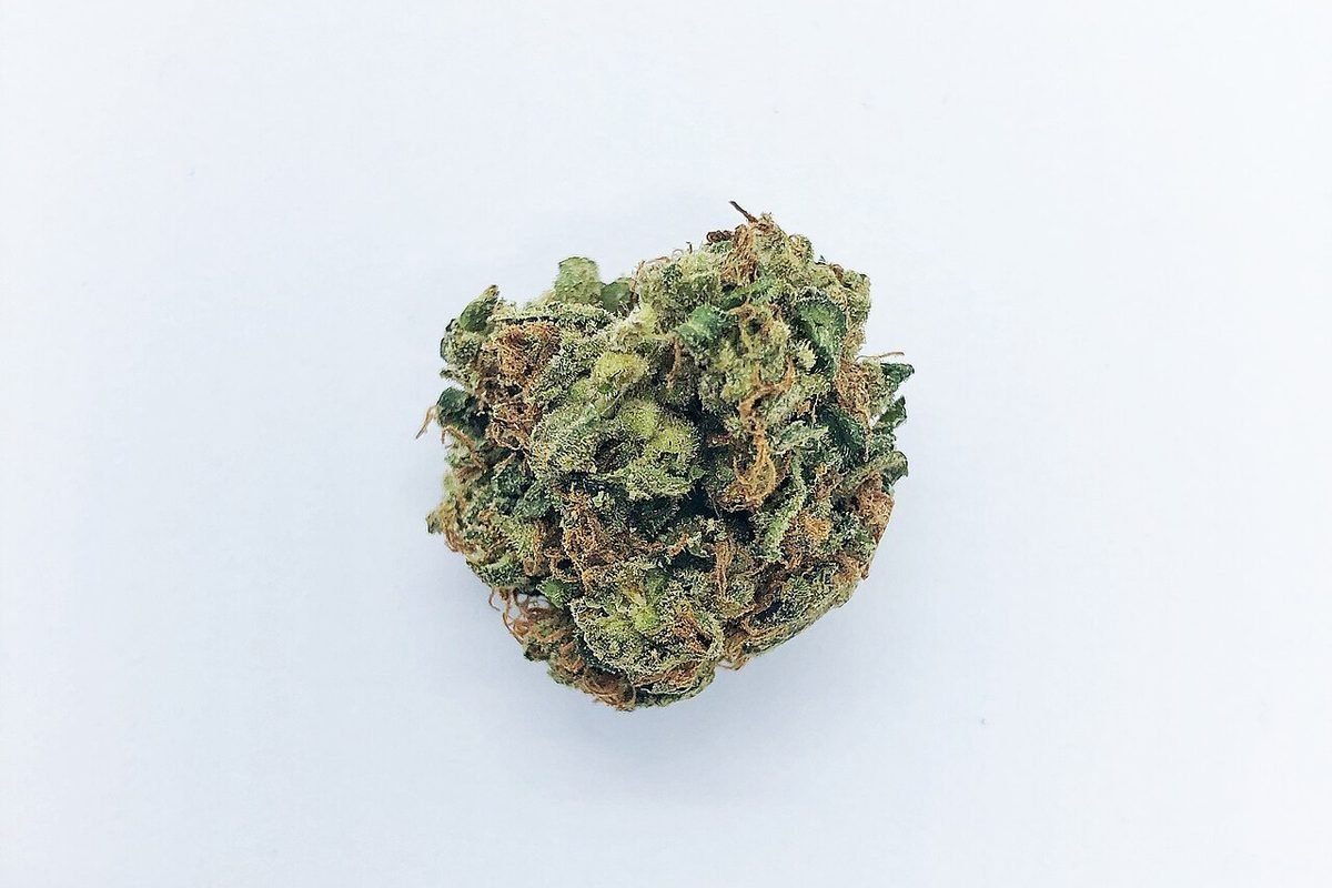 Cannabis bud photographed before shipping