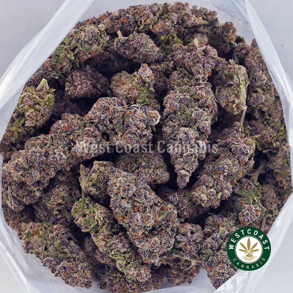 Afghan Goo AAAA