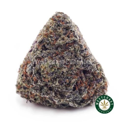 Afghan Haze AAAA