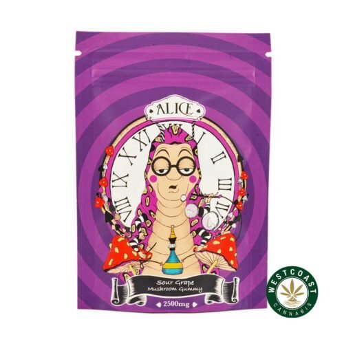Alice Mushroom Gummy – Sour Grape 2500mg