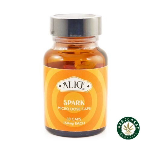 Alice Mushroom – Micro Dose Capsules – Spark (4500mg Golden Teacher)