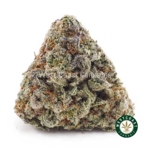 Blueberry Diesel AA