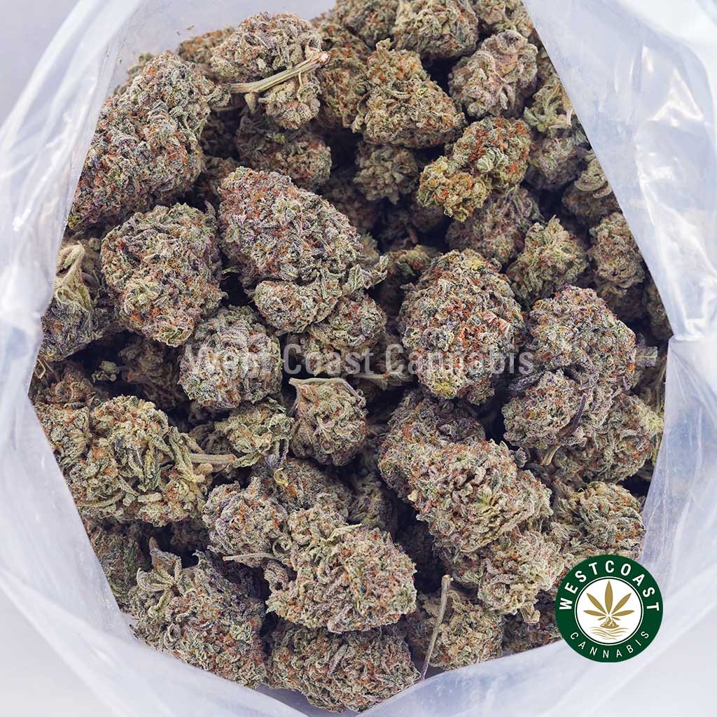 Blueberry Diesel AA