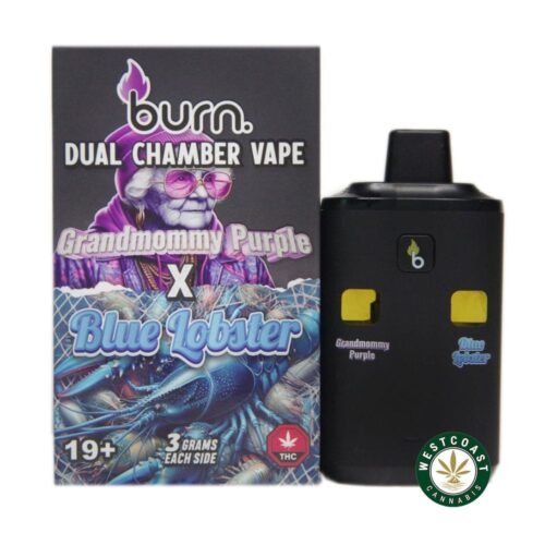 Burn Extracts – Dual Chamber Disposable Vape – Grandmommy Purple + Blue Lobster (3+3 Gram)