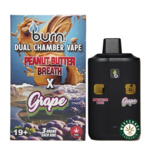 Burn Extracts – Dual Chamber Disposable Vape – Peanut Butter Breath + Grape (3+3 Gram)