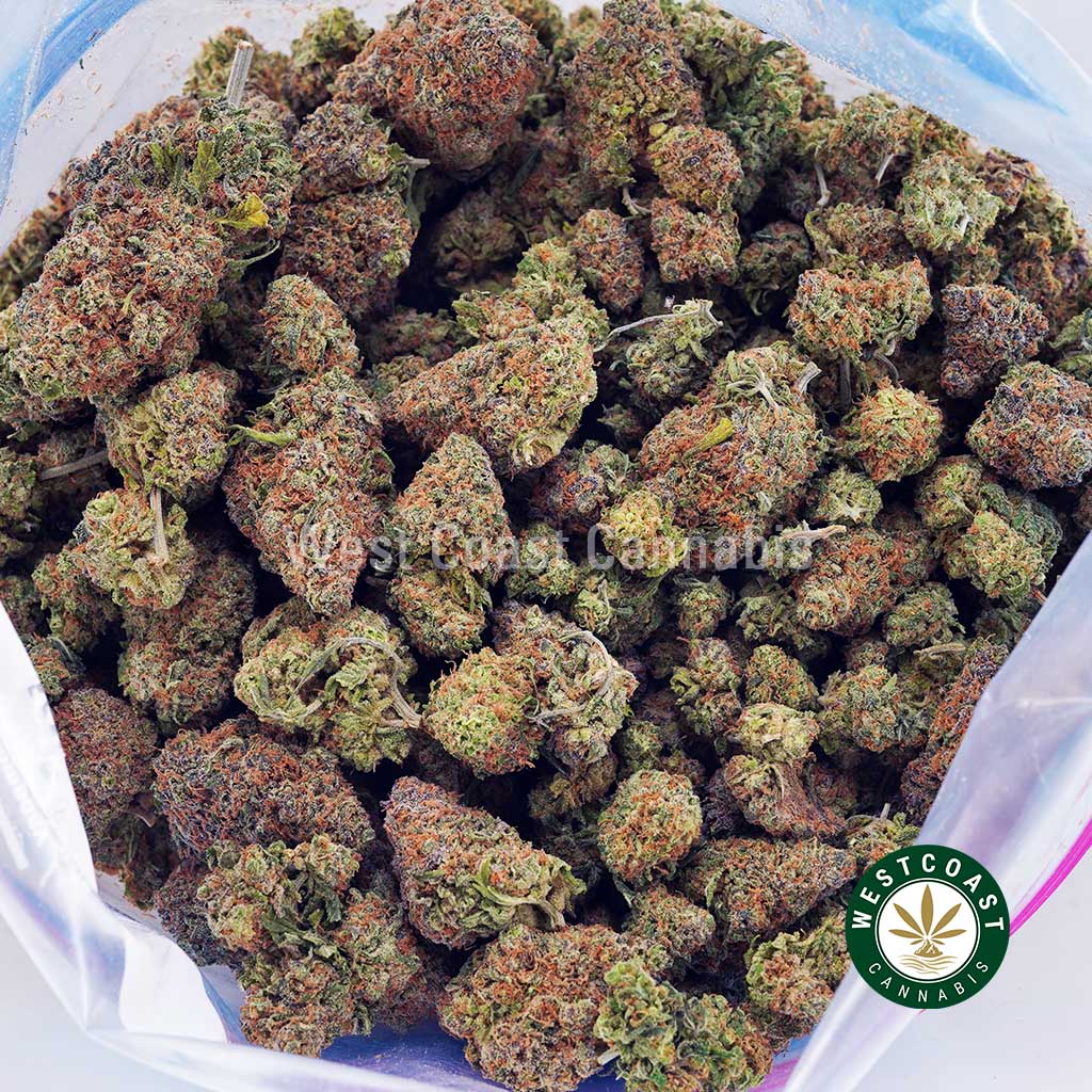 Columbian Gold AA