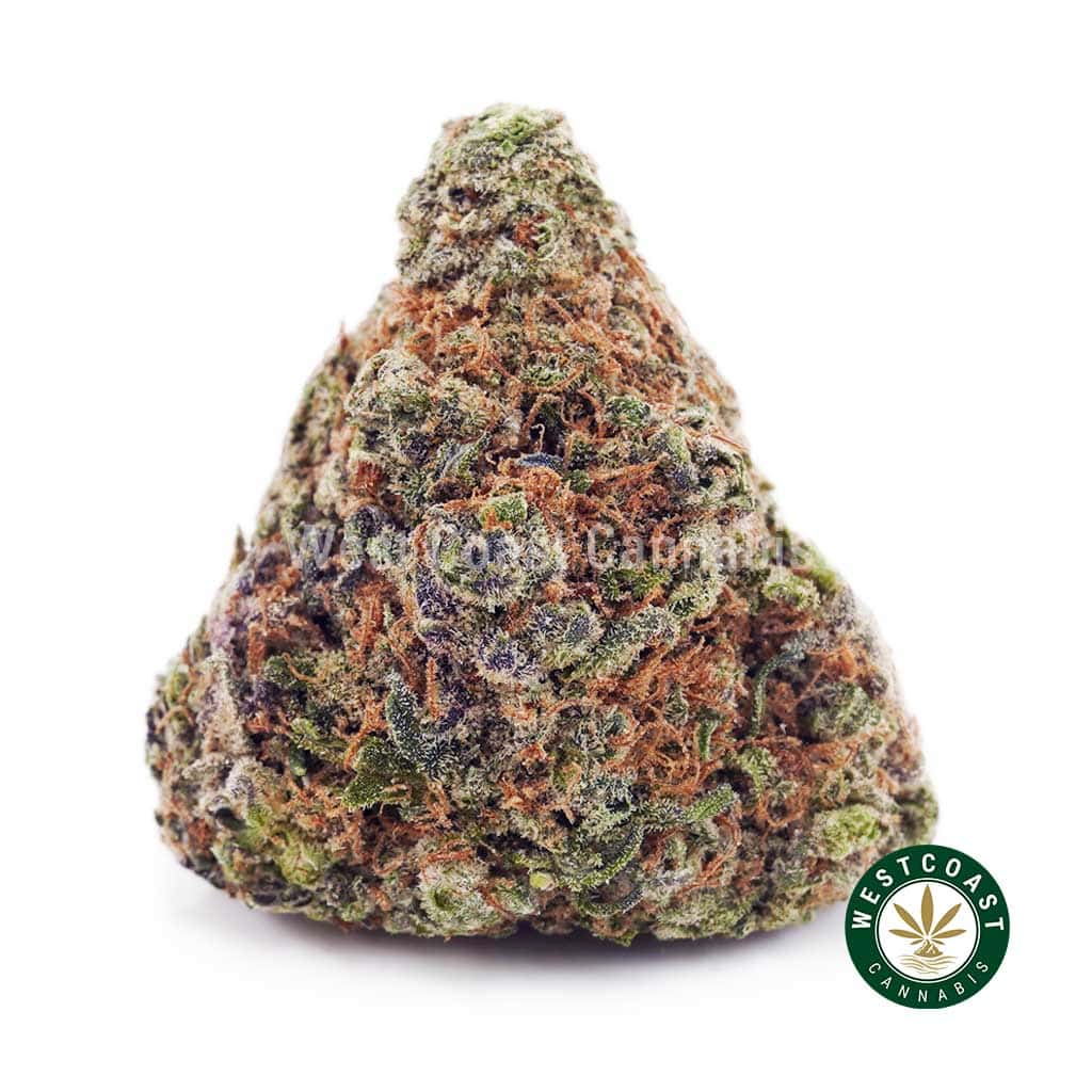Columbian Gold AA