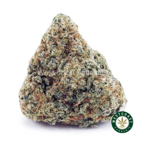 Critical Haze AAAA