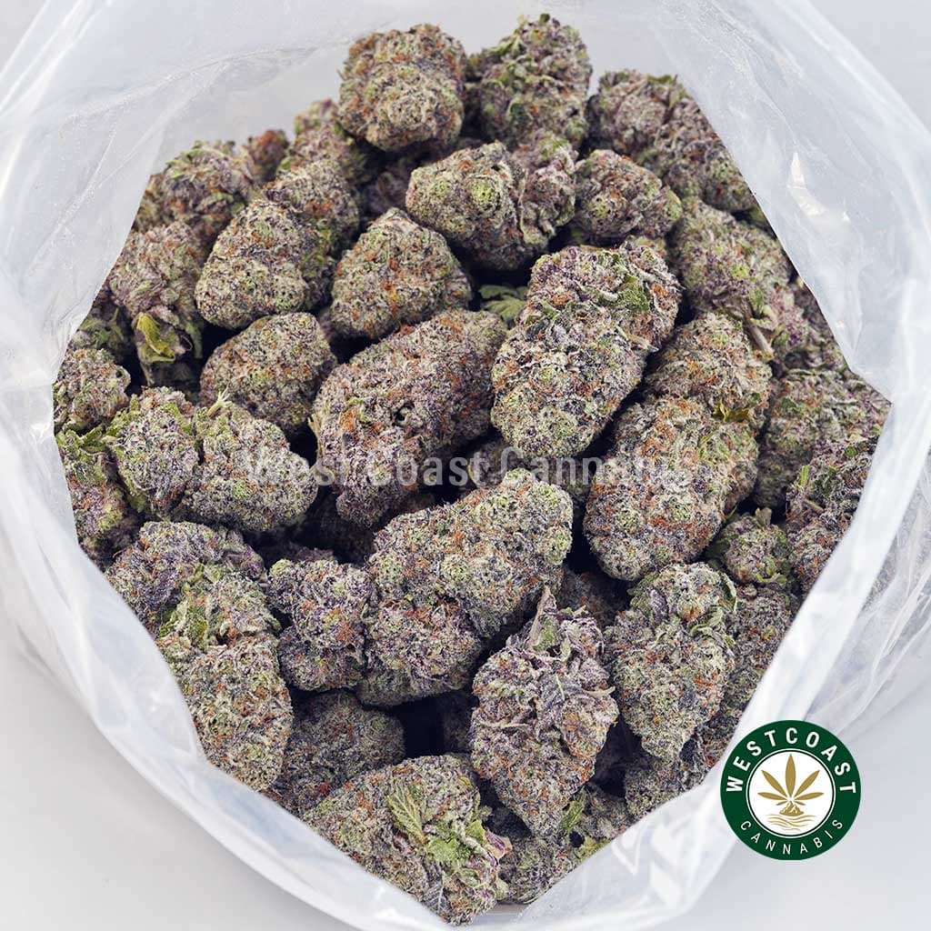 Dank Kush Breath AAAA+