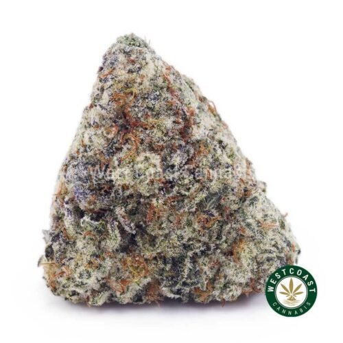 Gelato #33 AAA