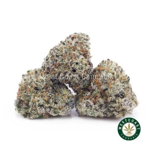 Georgia Pie AAAA (Popcorn Nugs)