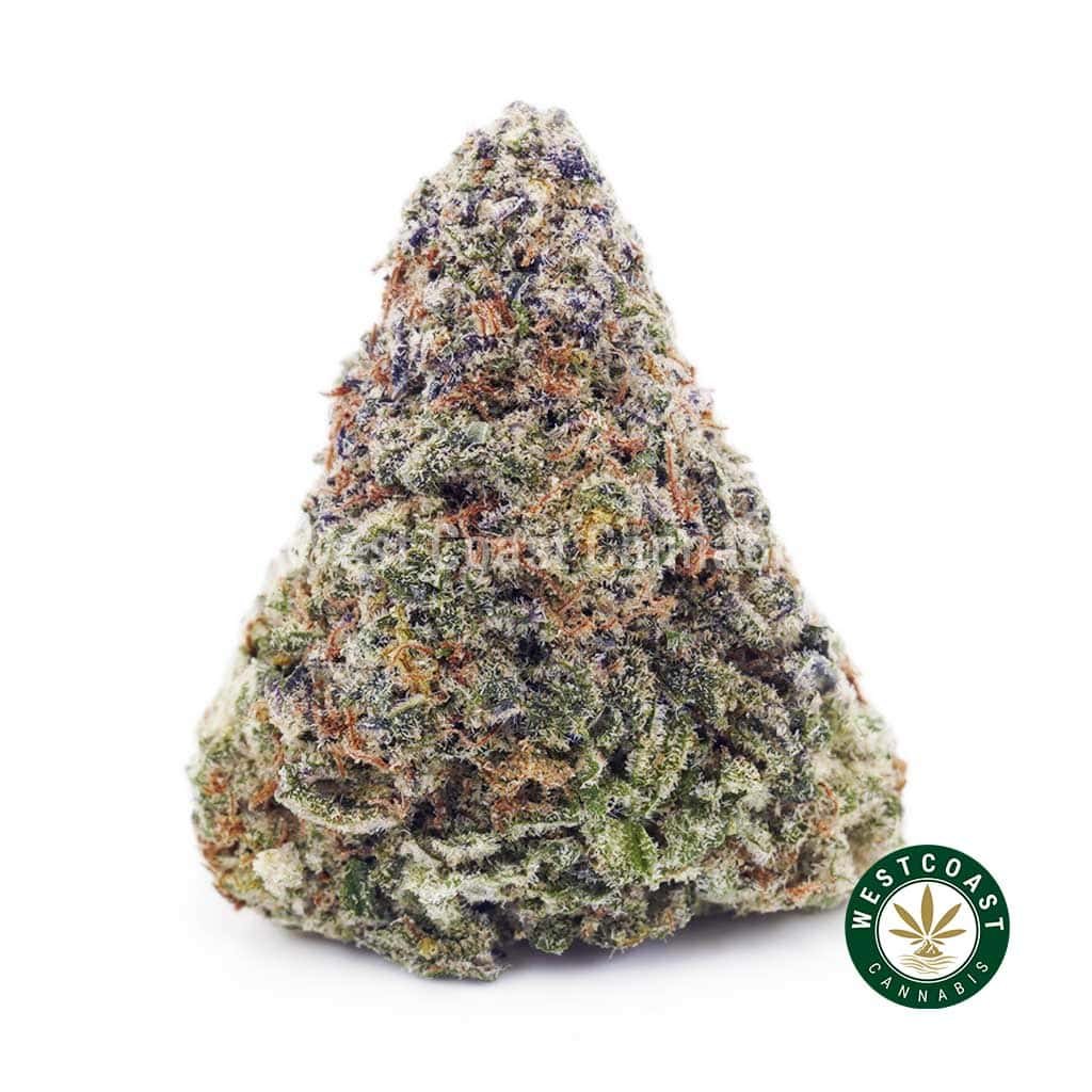 Ghost OG AAA