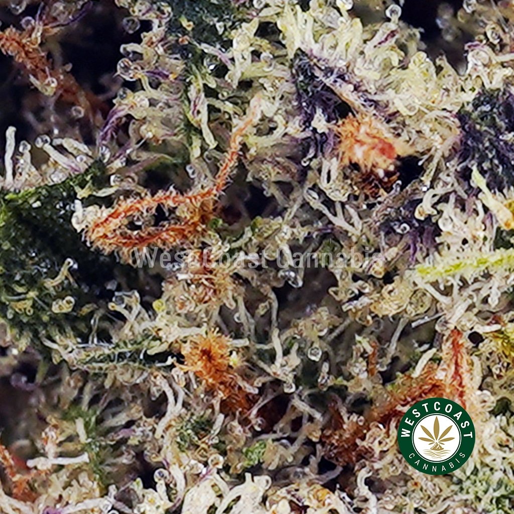 Ghost OG AAA