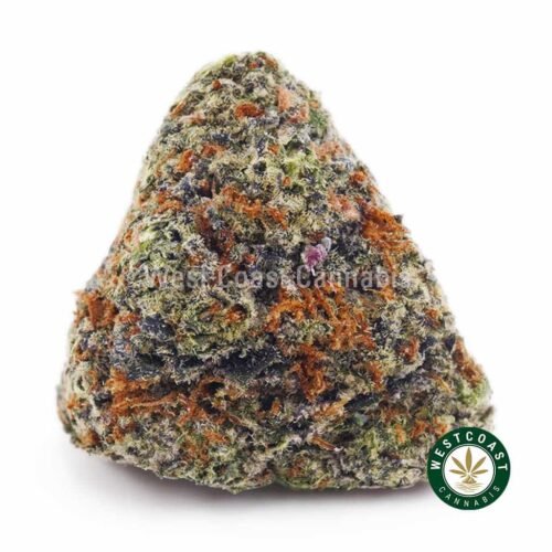 GMO Cookies AAAA