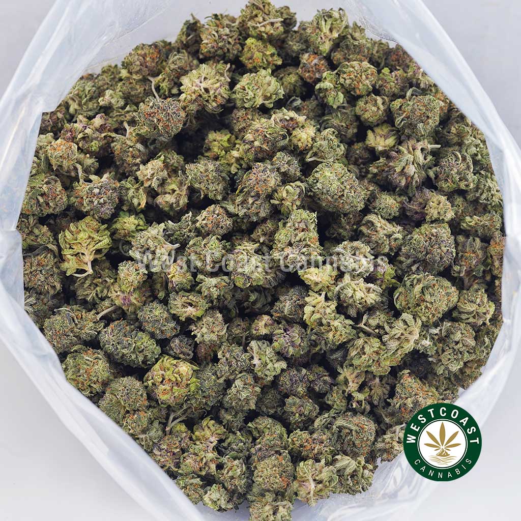 Gorilla Breath AAAA (Popcorn Nugs)