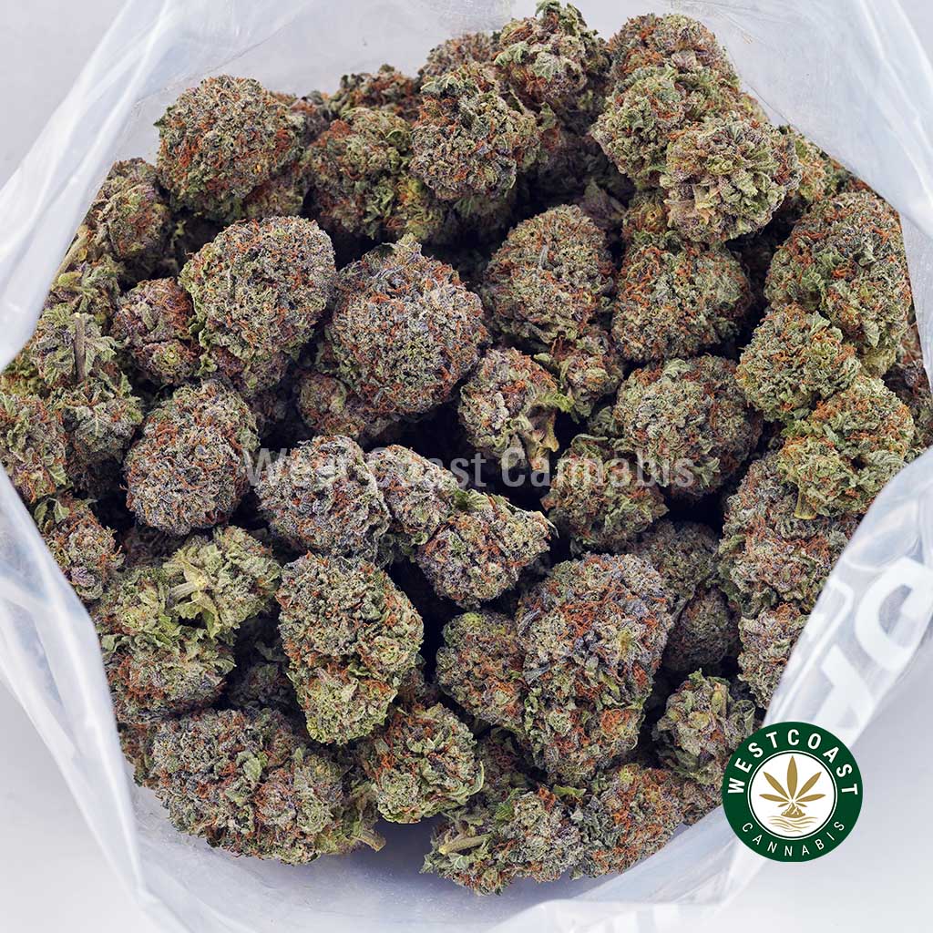 Gorilla Glue #4 AAAA