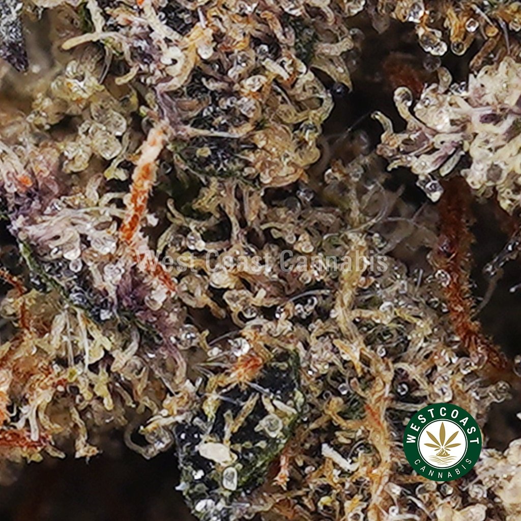 Green Goblin AAA
