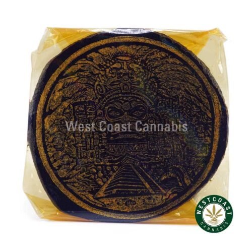 Hash – Mayan Temple Coin 28g