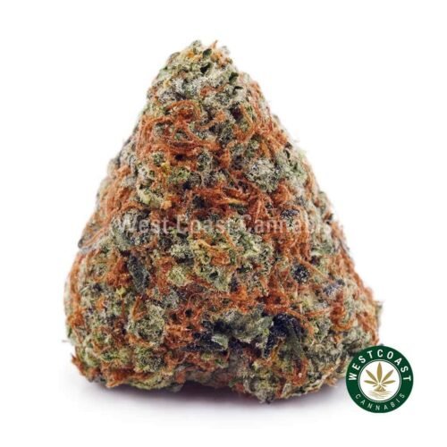 Hawaiian Dream AAAA