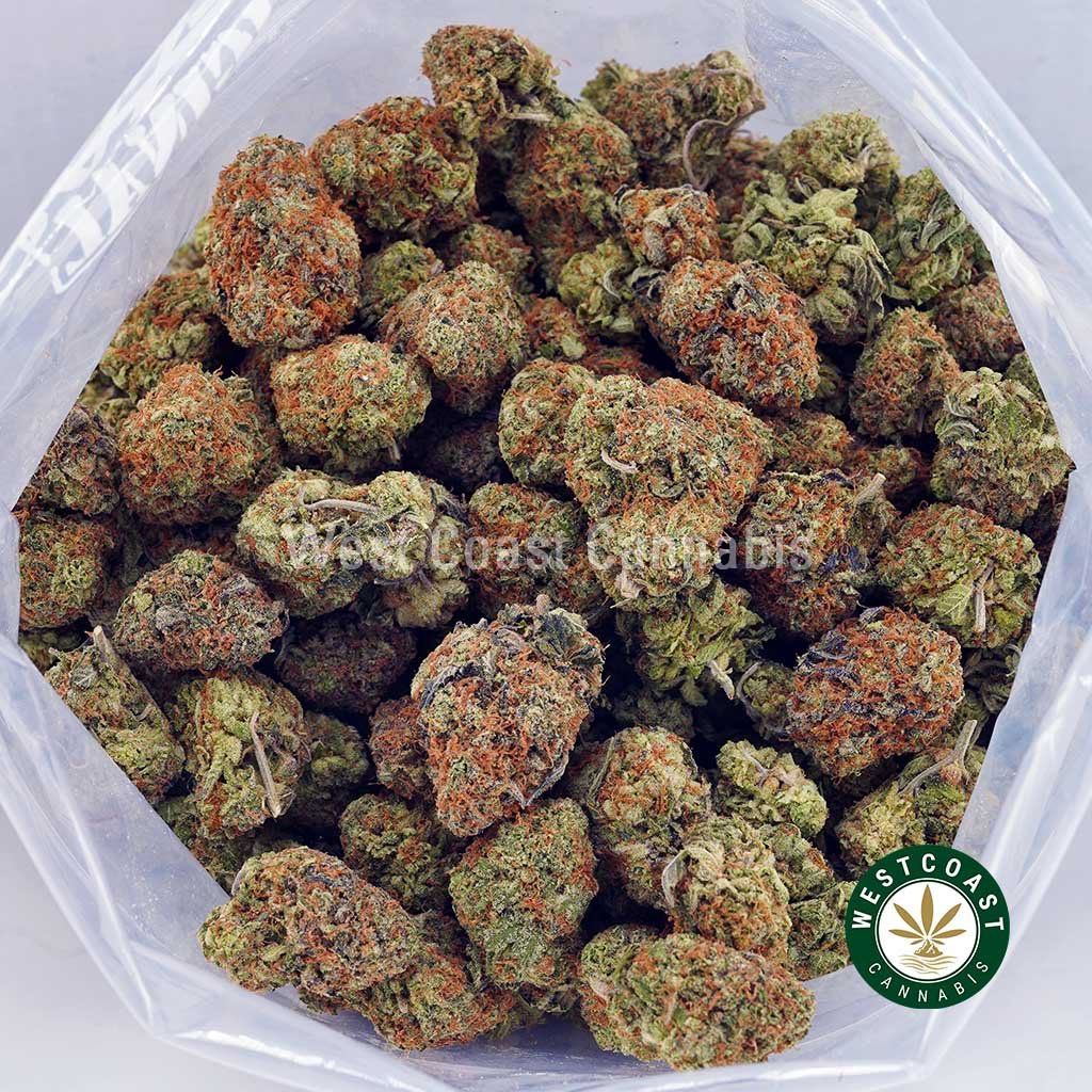 Hawaiian Dream AAAA