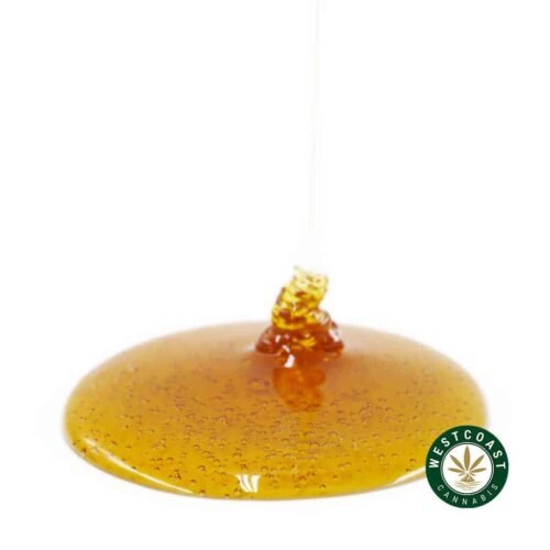 Honey Oil – Blue Lobster (Indica)