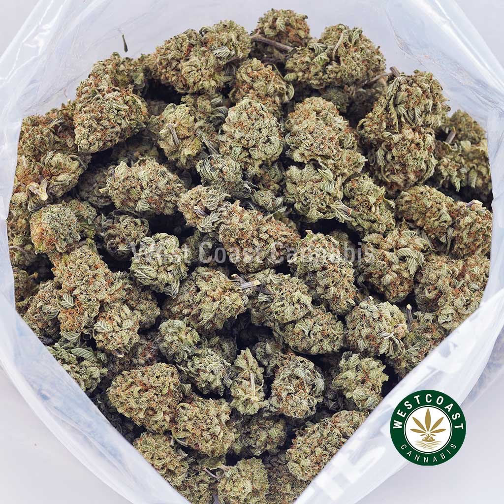 Island Maui Haze AA