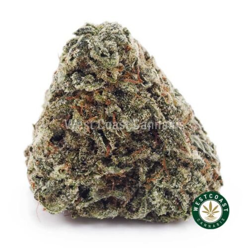 Island Maui Haze AA