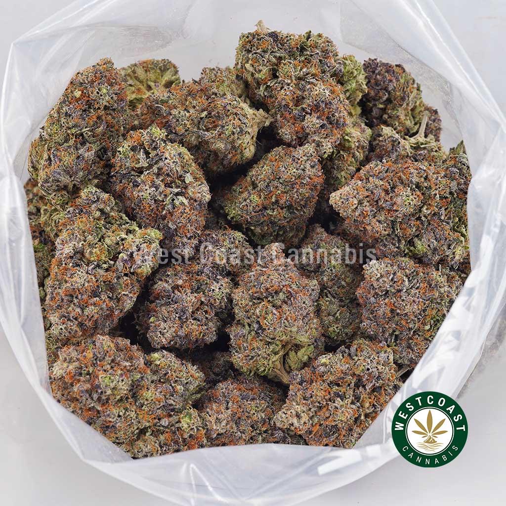 Island Pink Kush AAAA+