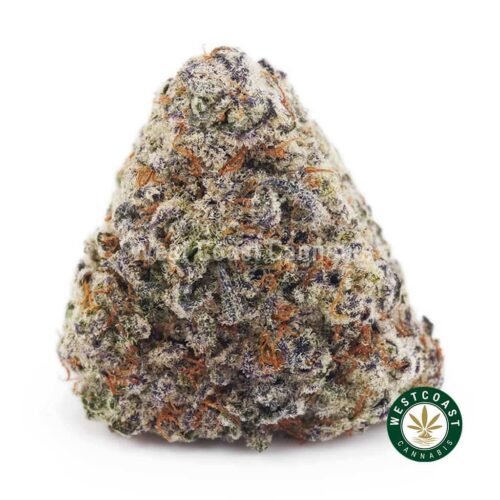King Louis XIII AA