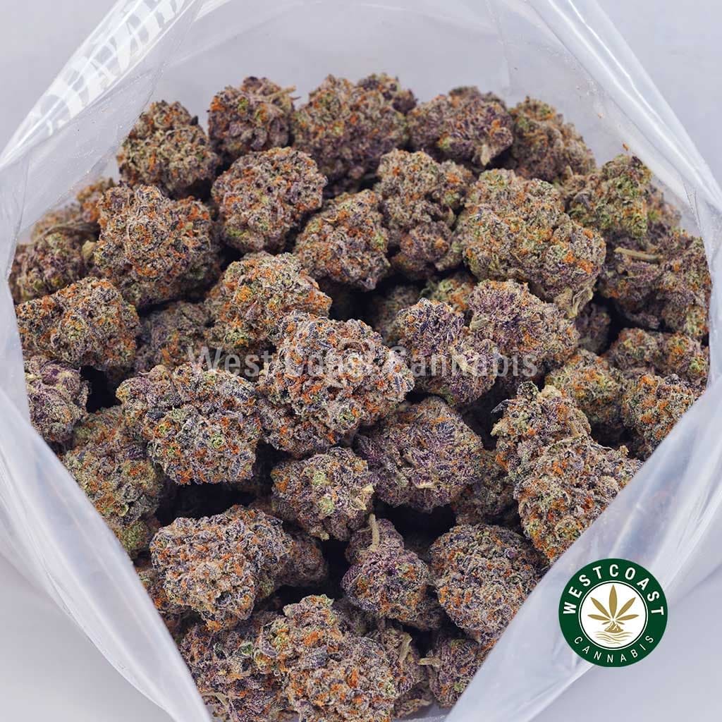Kosher Kush AAA