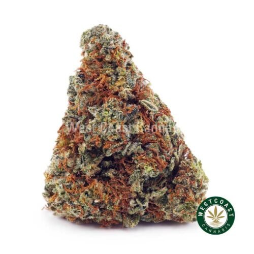 Mango Tango AAAA