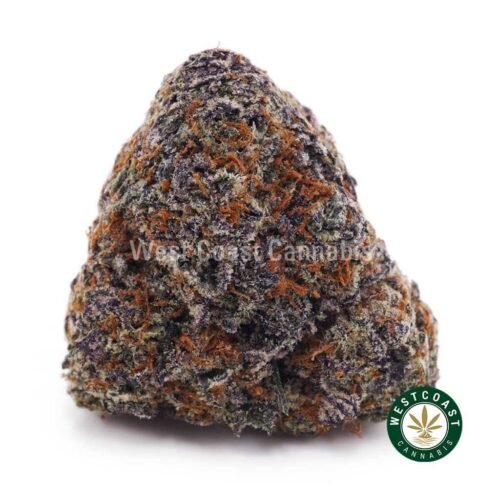 Maui Confidential AAA