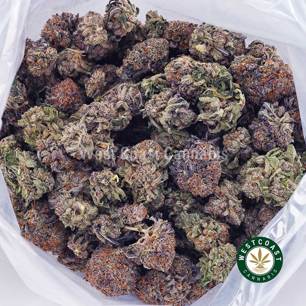 Maui Confidential AAA