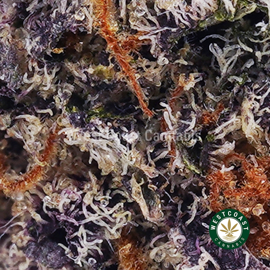 Maui Confidential AAA