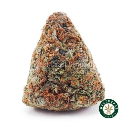 Mendo Punch AA