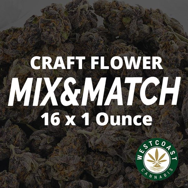 Multi Pack – Craft Flowers AAAA+ Pound – 16 x 28g