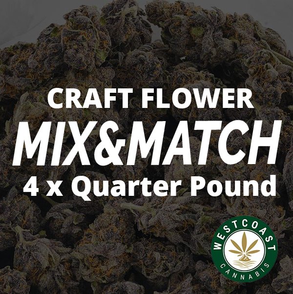 Multi Pack – Craft Flowers AAAA+ Pound – 4 x Quarter Pound