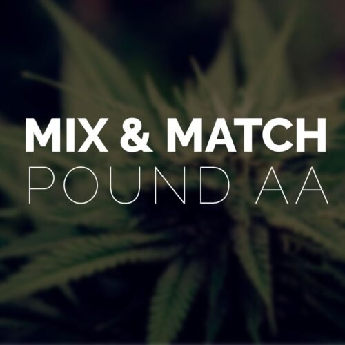 Multi Pack – Pound AA Strains – 4 x Quarter Pound