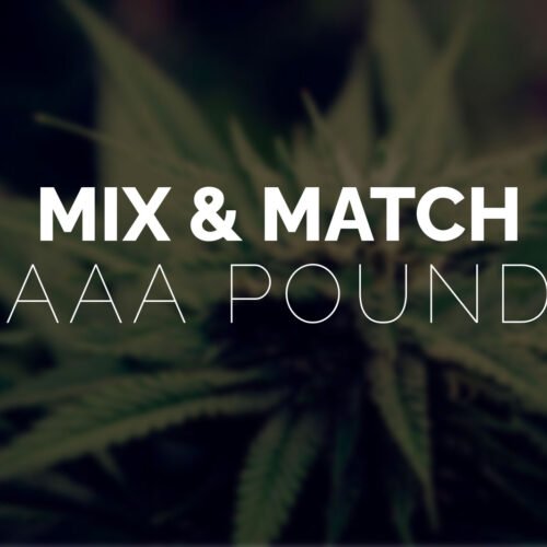 Multi Pack – Pound AAA Strains – 4 x Quarter Pound
