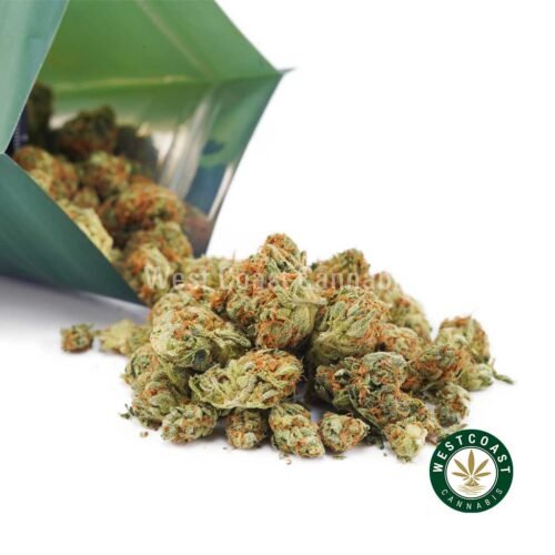 Mystery AAA – Cannabis Pack Oz