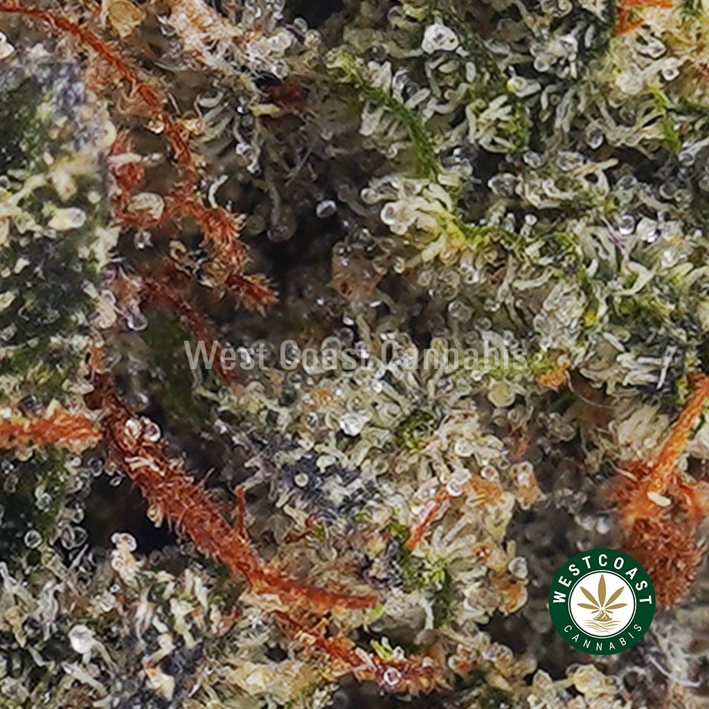 OG Kush AAA