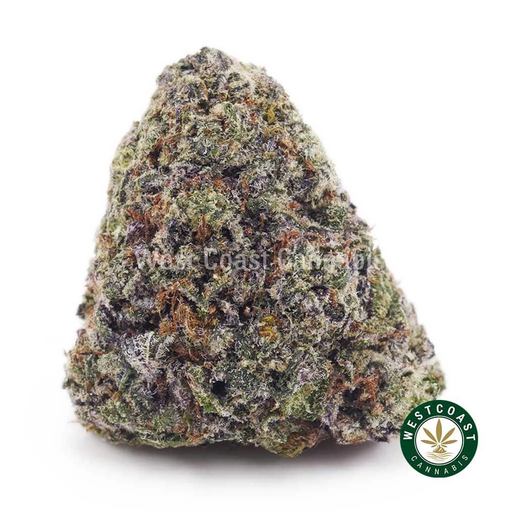 Pink Kush AAA
