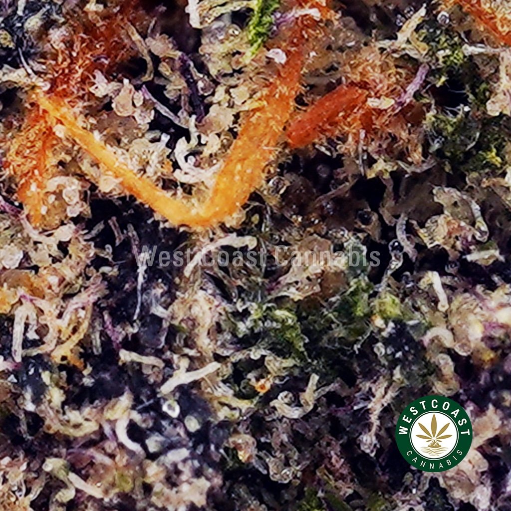 Platinum Cookies AAAA