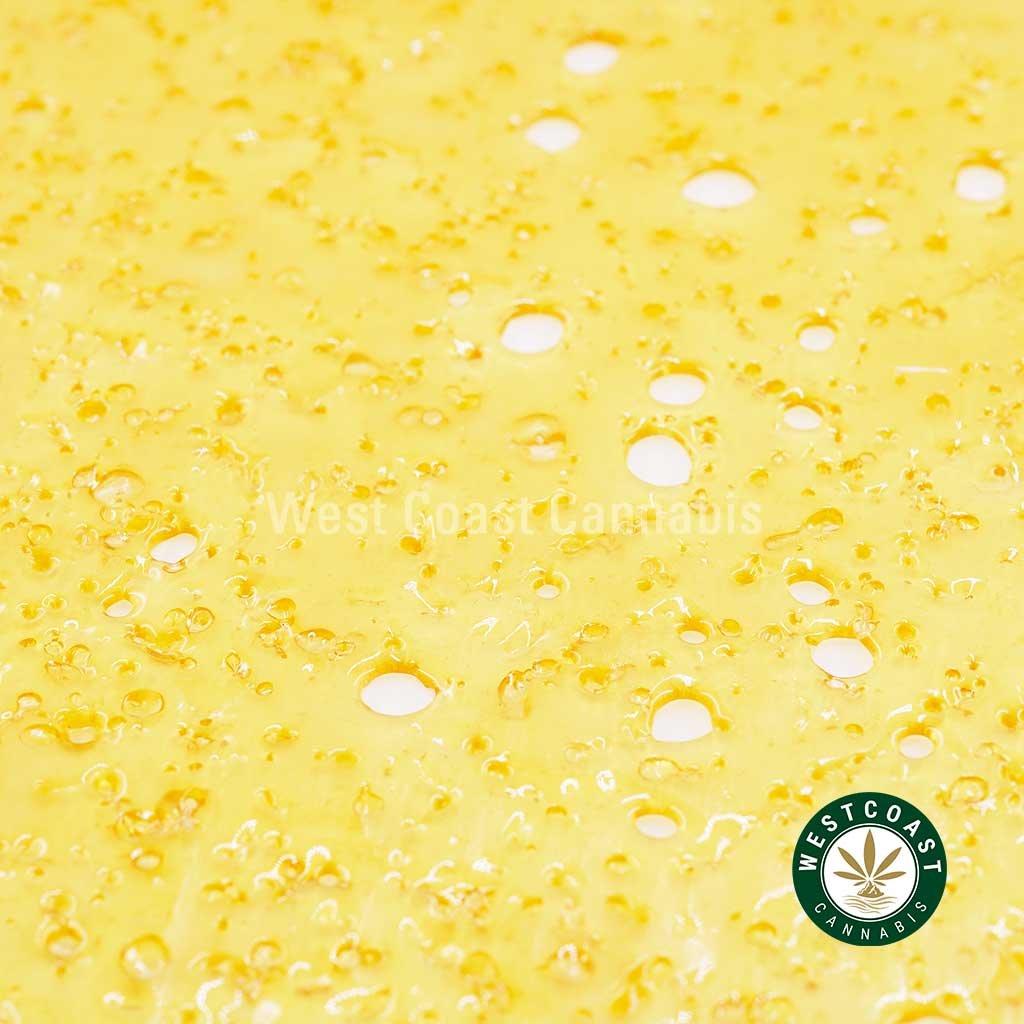 Premium Shatter – Cheese Quake (Indica)