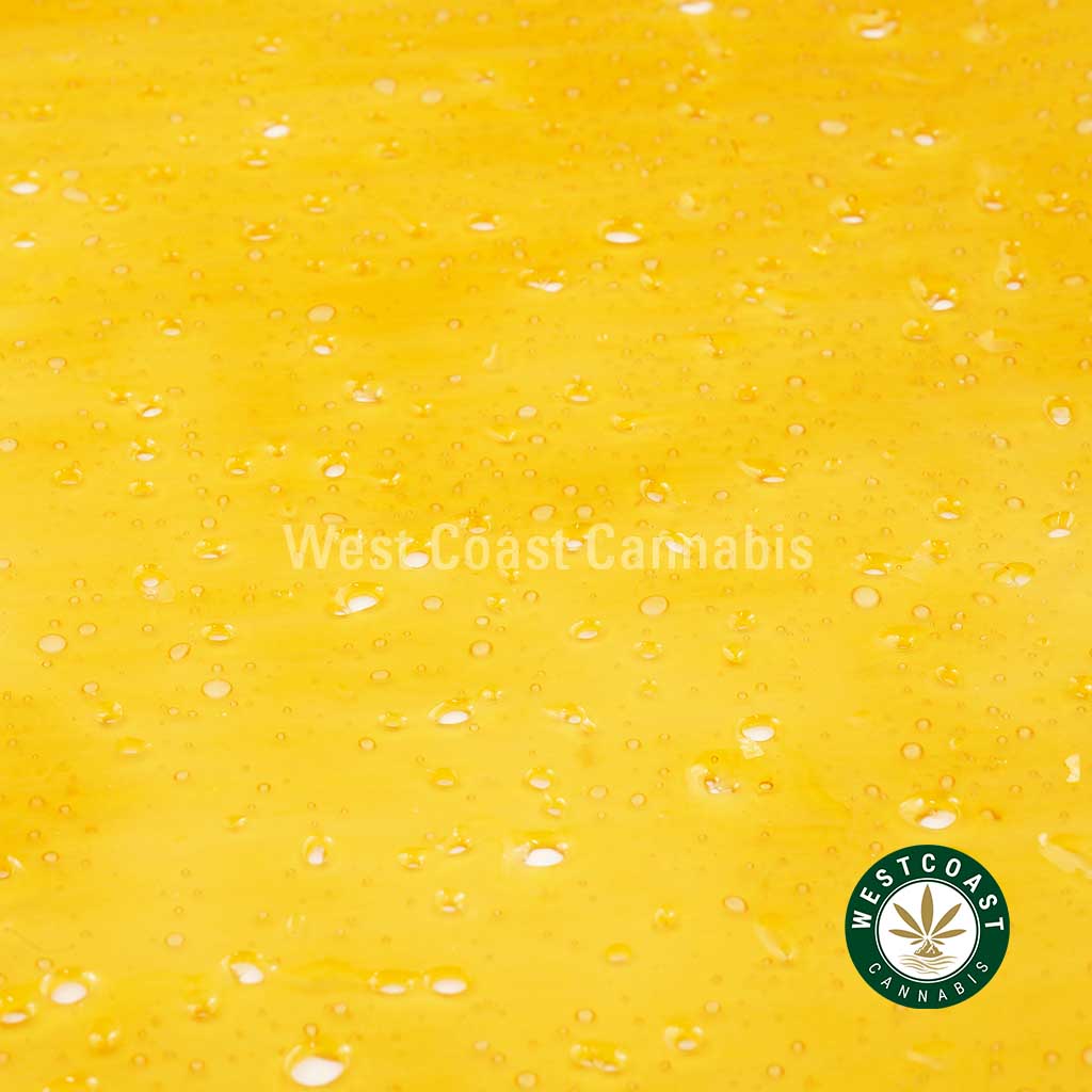 Premium Shatter – Gelato (Indica)