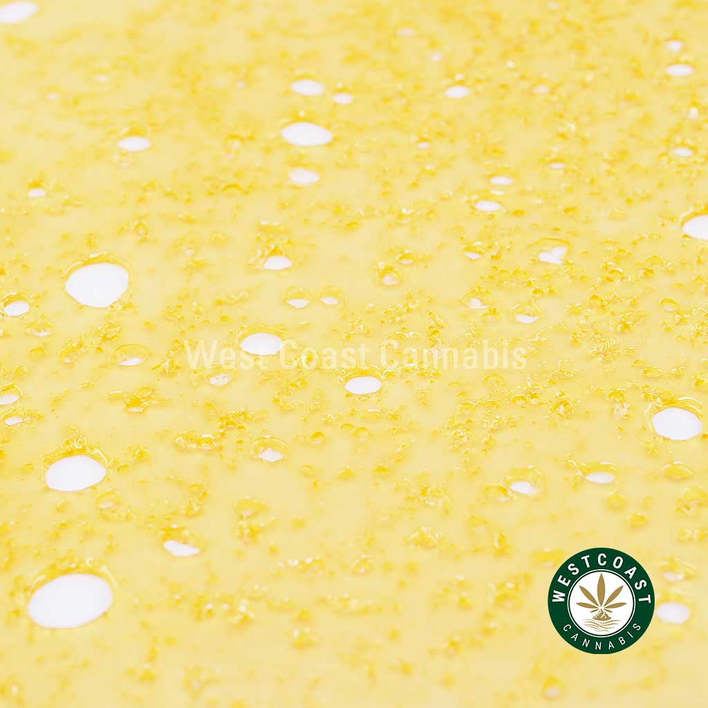 Premium Shatter – Laughing Buddha (Sativa)