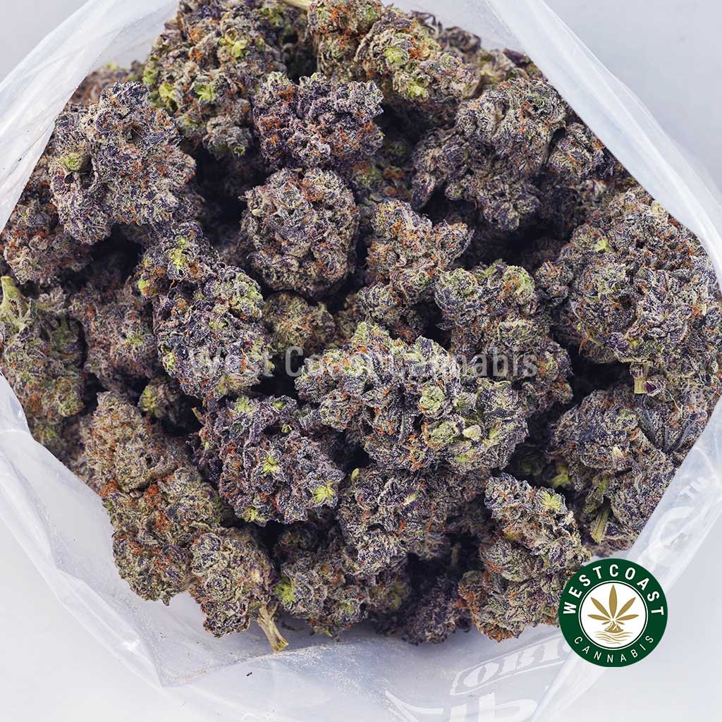 Purple Afghan Kush AAAA