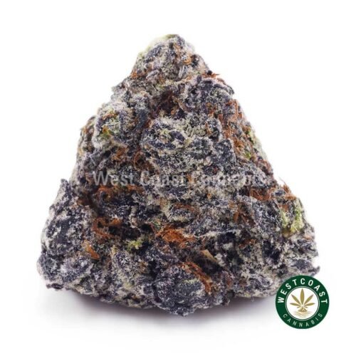 Purple Afghan Kush AAAA